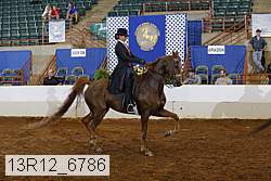 13r12_6786 proof