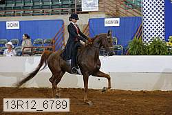 13r12_6789 proof