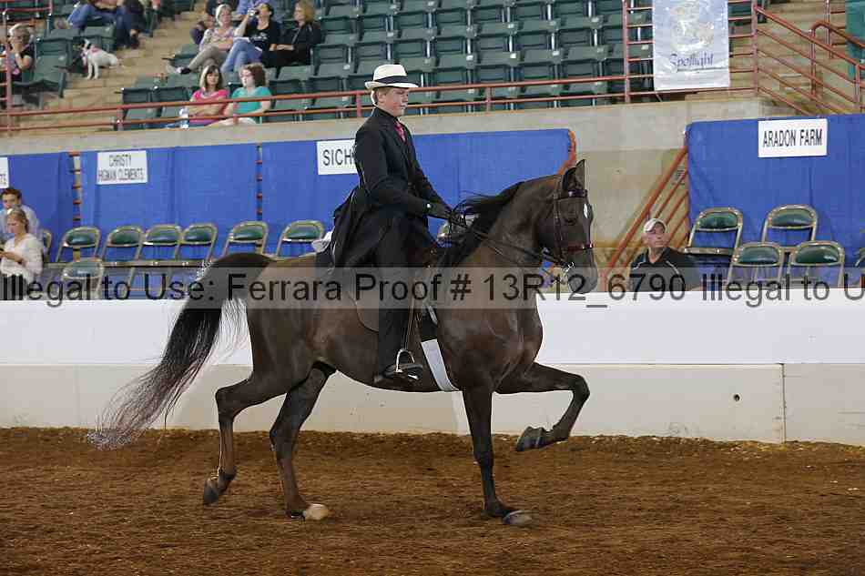 Proof 13r12_6790