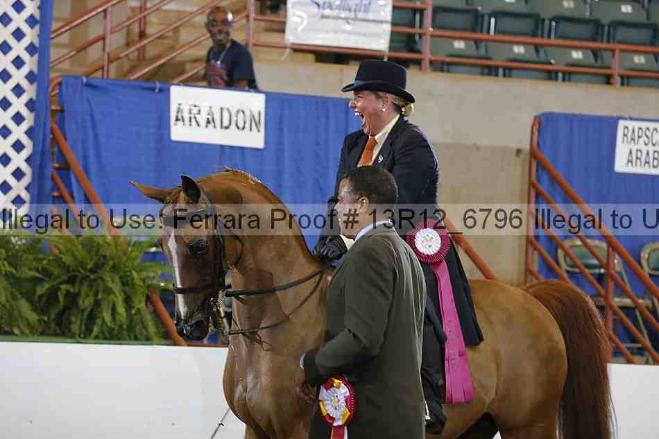 Proof 13r12_6796