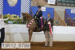 13r12_6799 proof