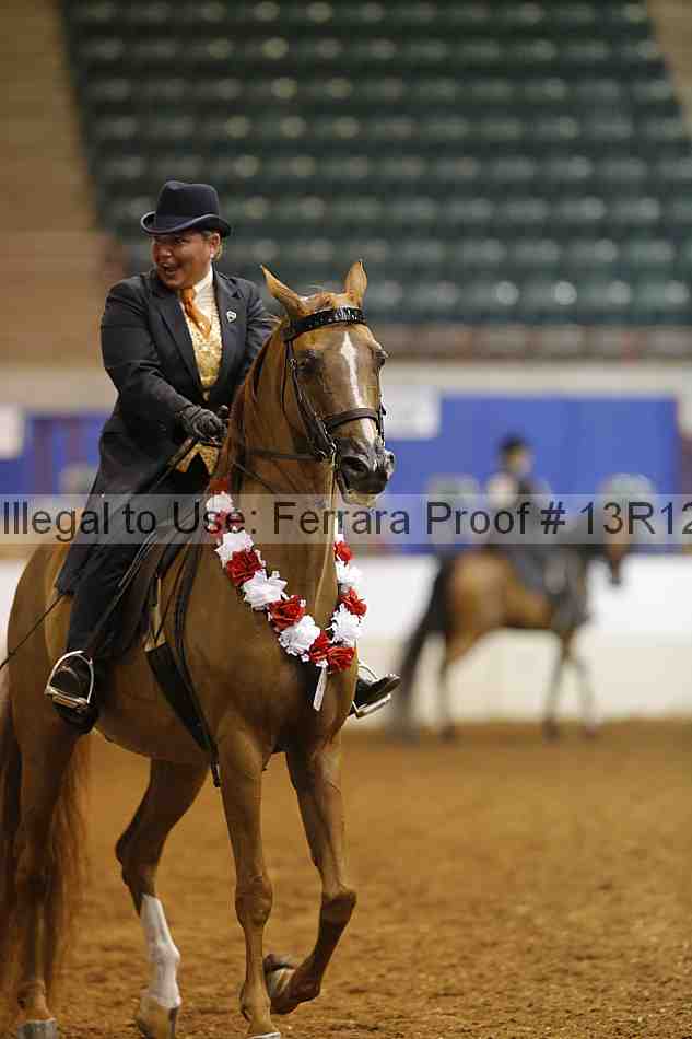 Proof 13r12_6803