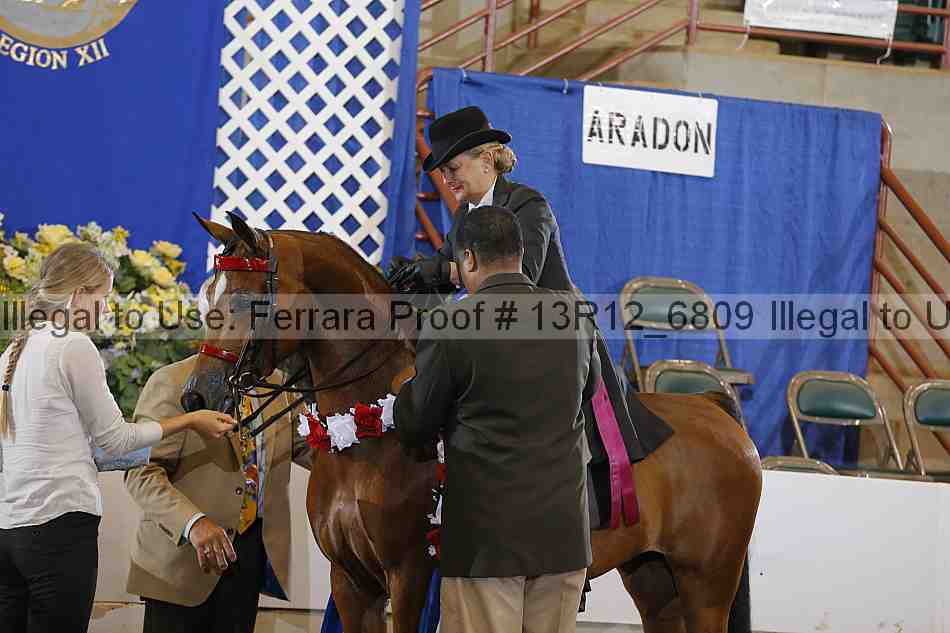 Proof 13r12_6809