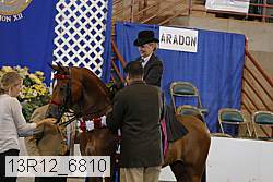 13r12_6810 proof