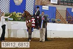 13r12_6812 proof