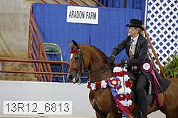 13r12_6813 proof