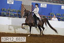 13r12_6837 proof