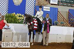 13r12_6844 proof