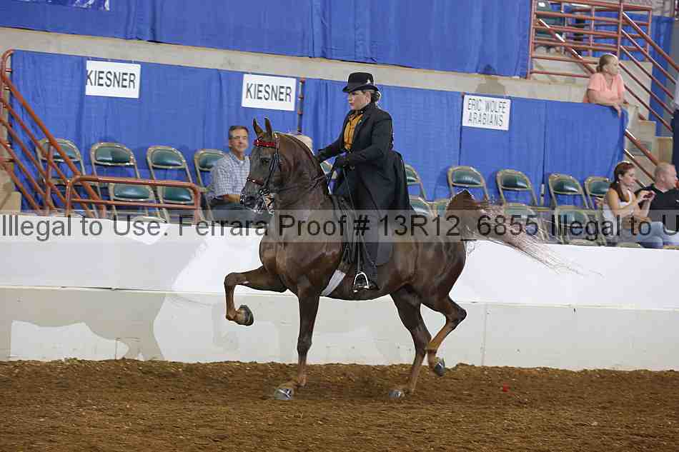 Proof 13r12_6855