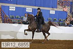 13r12_6855 proof