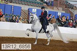 13r12_6856 proof