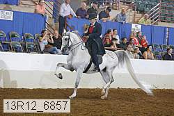 13r12_6857 proof