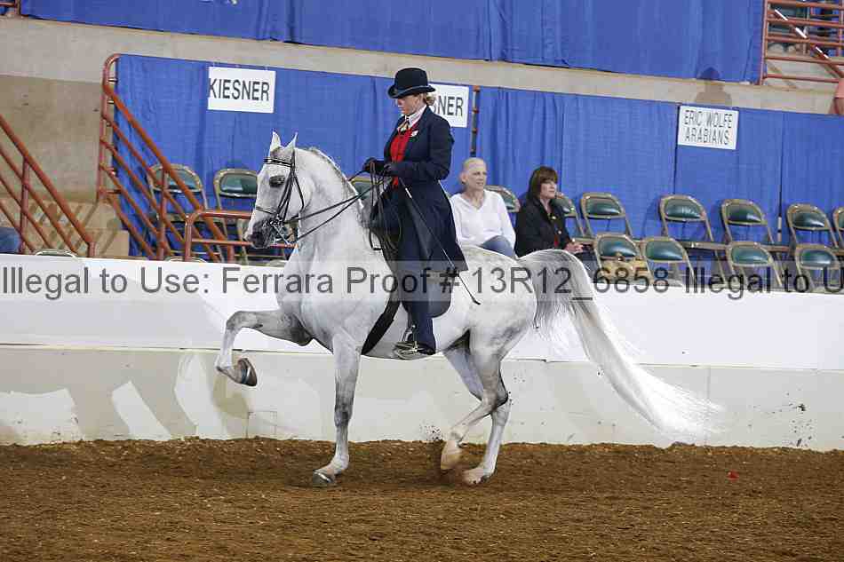 Proof 13r12_6858