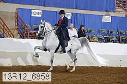 13r12_6858 proof