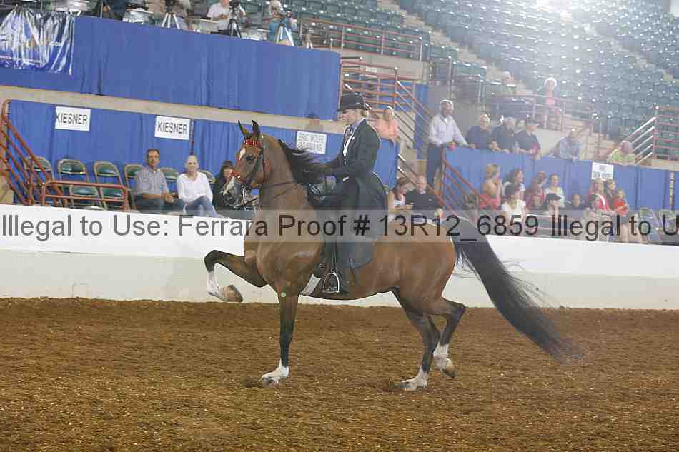 Proof 13r12_6859