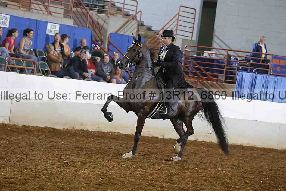 Proof 13r12_6860