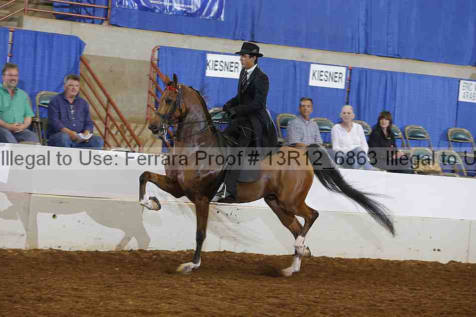 Proof 13r12_6863
