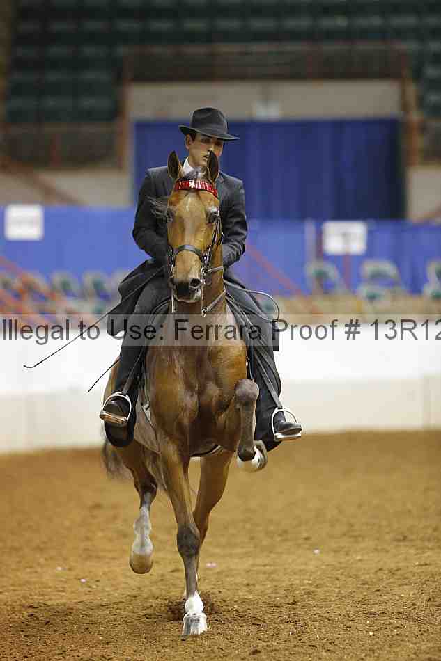 Proof 13r12_6868