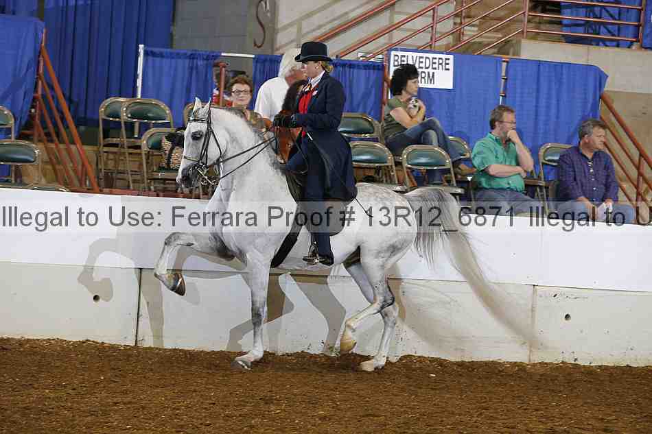 Proof 13r12_6871