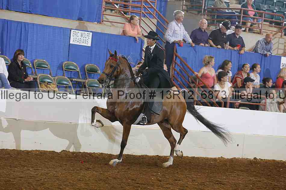 Proof 13r12_6873