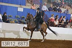 13r12_6873 proof