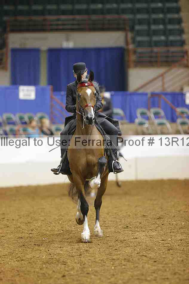 Proof 13r12_6874