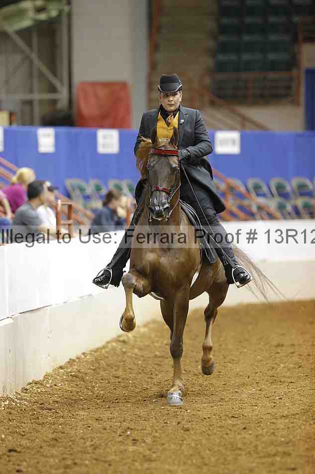 Proof 13r12_6875