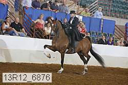 13r12_6876 proof