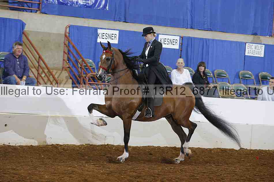 Proof 13r12_6877