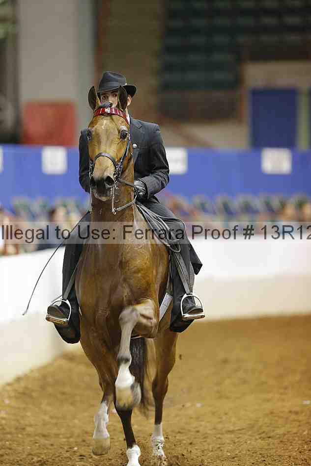 Proof 13r12_6878