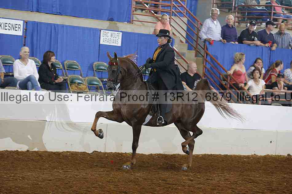 Proof 13r12_6879