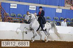 13r12_6881 proof