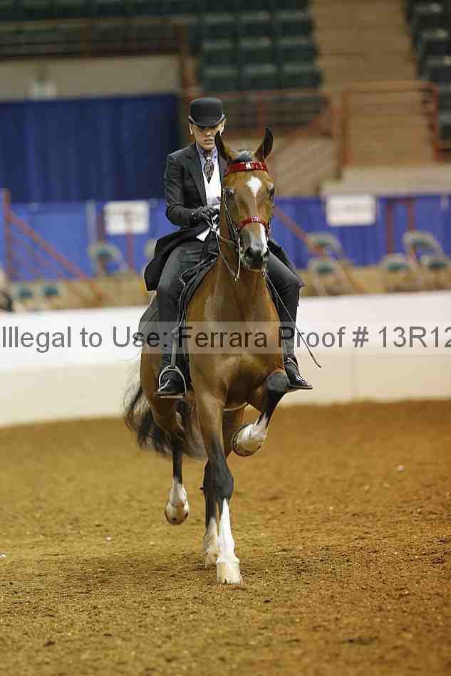 Proof 13r12_6883