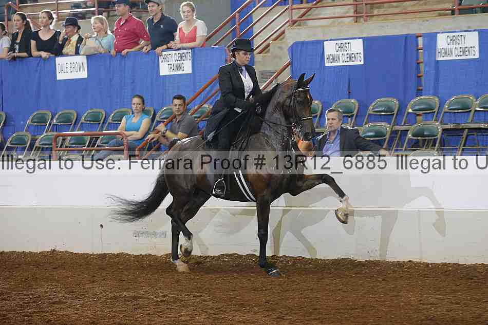 Proof 13r12_6885