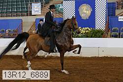 13r12_6889 proof