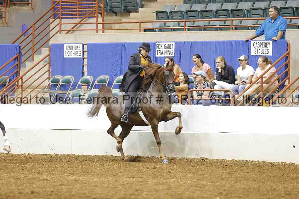 Proof 13r12_6891