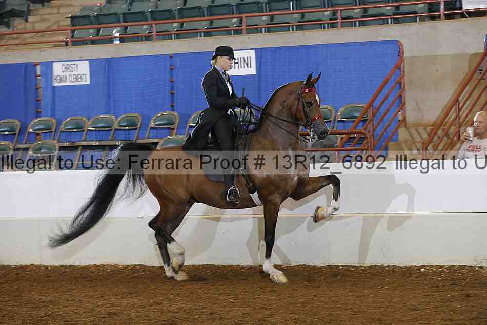 Proof 13r12_6892