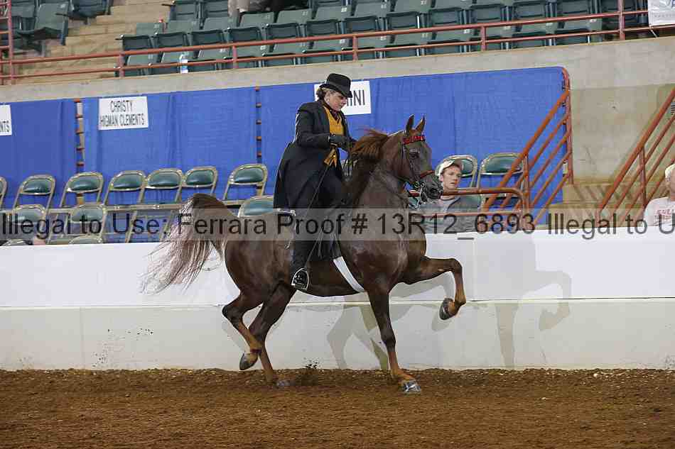 Proof 13r12_6893