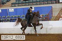 13r12_6893 proof