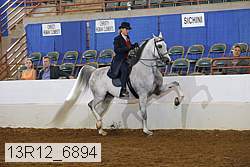13r12_6894 proof
