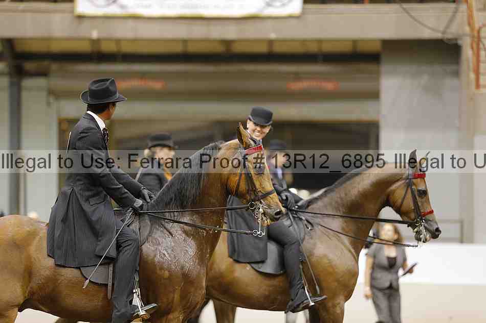 Proof 13r12_6895