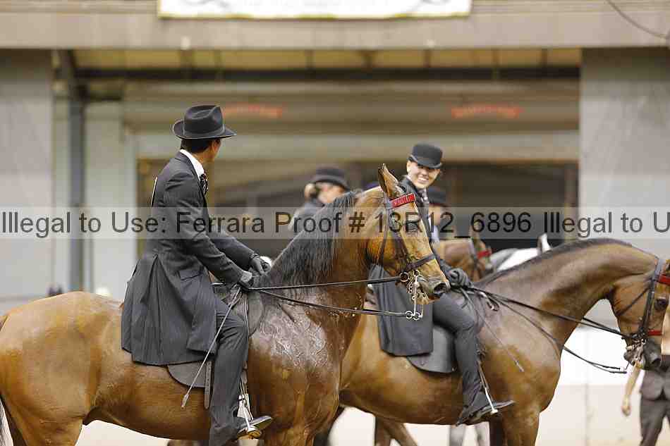 Proof 13r12_6896