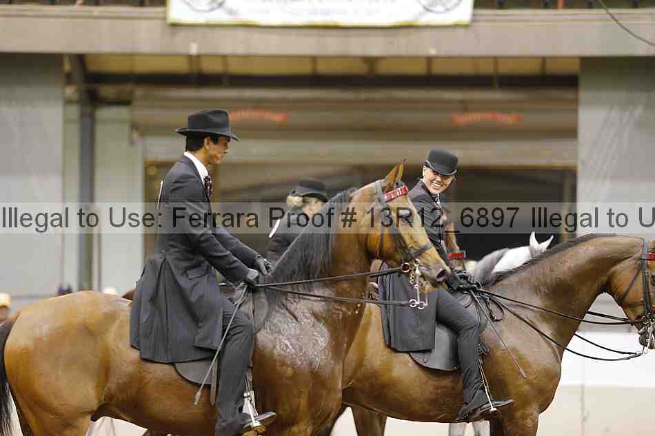 Proof 13r12_6897