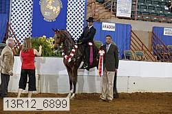 13r12_6899 proof