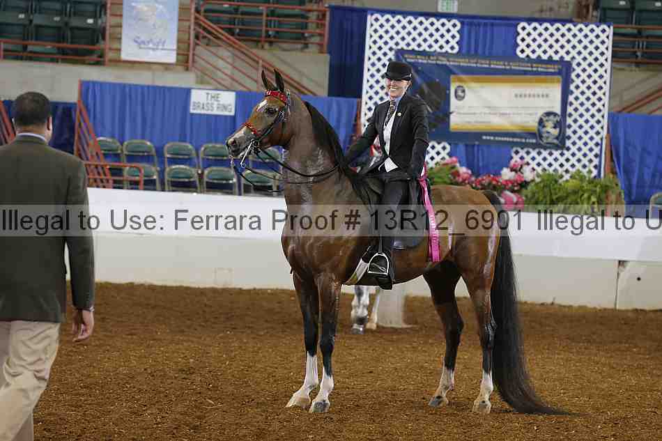 Proof 13r12_6901
