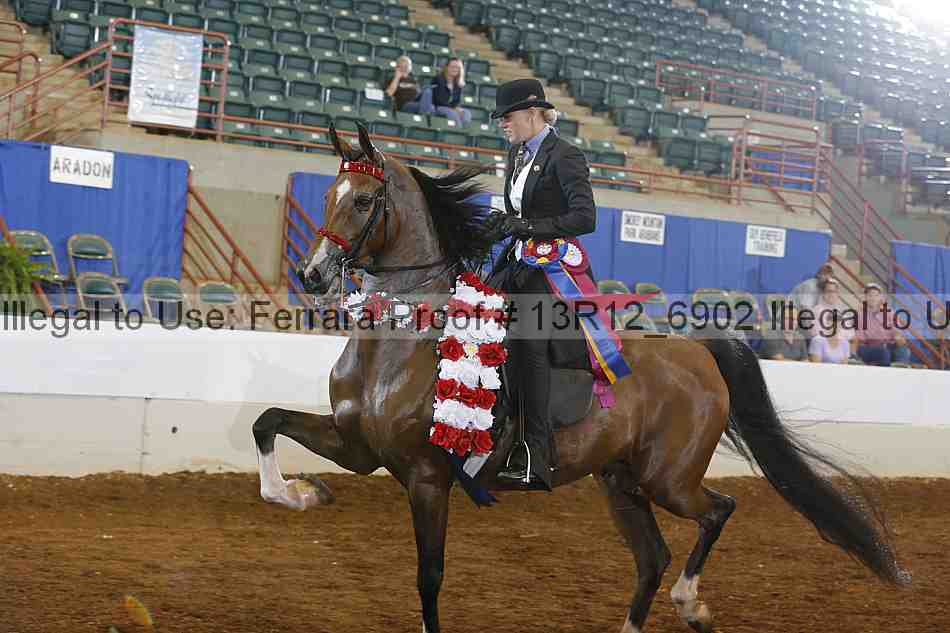 Proof 13r12_6902