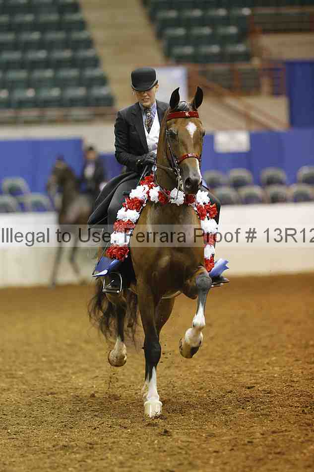Proof 13r12_6903