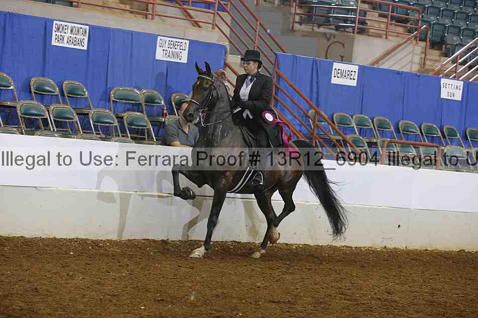 Proof 13r12_6904