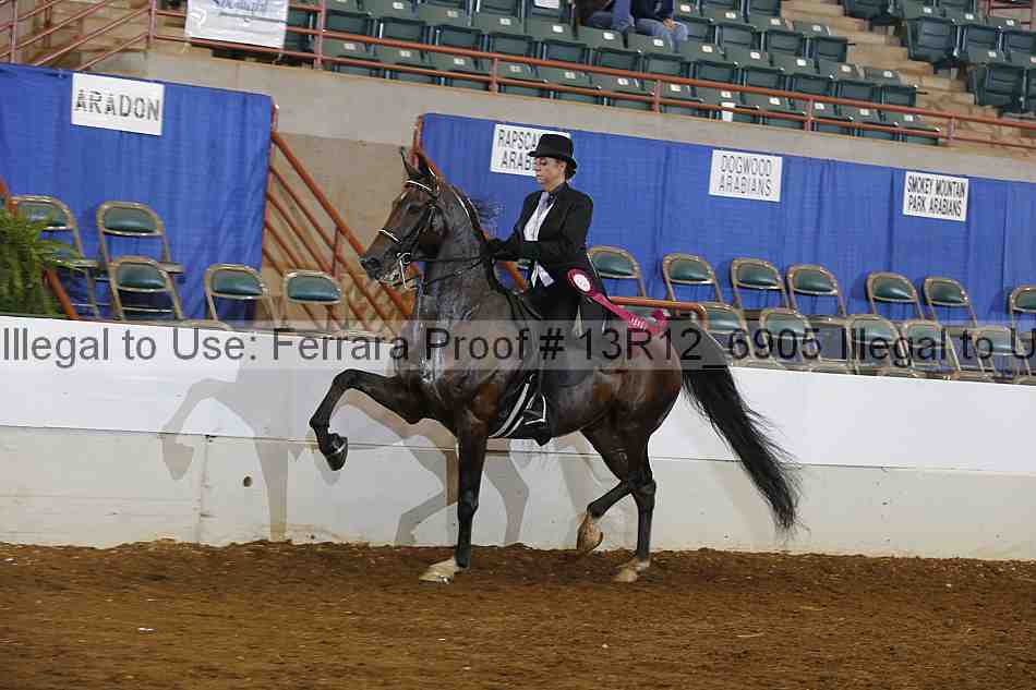 Proof 13r12_6905