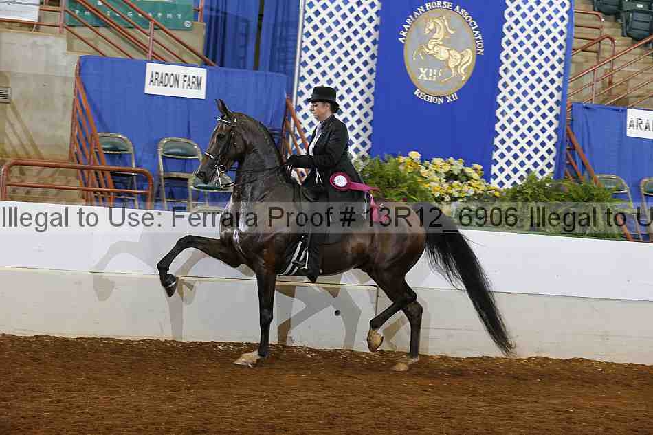 Proof 13r12_6906